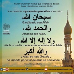 سورة القصص الشيخ أبو بكر الشاطرى