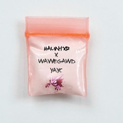 Yayo w/ Hauntxr