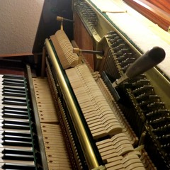 Tuning the Piano x 16