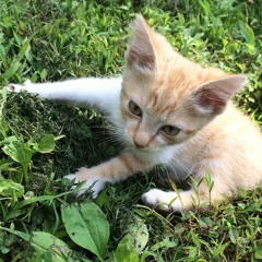 Where's My Controller