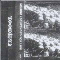 Sentenced For Life - Despertar De La Bestia (Excerpt)