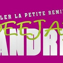 Coller La Petite Remix 2016 DJ LANDRIE