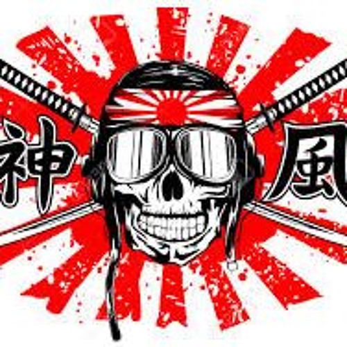 Макс камикадзе комик. Камикадзе рисунок. Крутые флаги. Камикадзе альметьевск. Обложки эминема альбомов камикадзе.