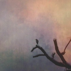 Nightmare Birds (Band's first Demo)