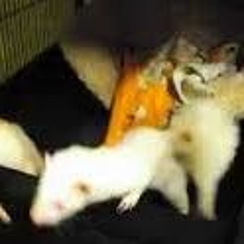 Gotek & Vinka - Face B