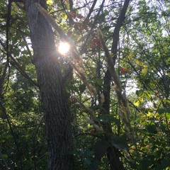 Soundtrack Music Chill