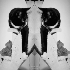 Mirroring EP [GHOST KITCHEN / GK-05
