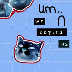 we copied us