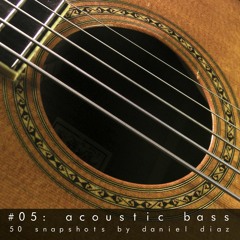 Snapshot 05 Acoustic Bass Guitar