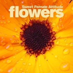 Sweet Female Attitude - Flowers (Freejak Remix)