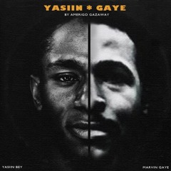 Yasiin Gaye - Priority (Amerigo Electro Mix) [Bonus]