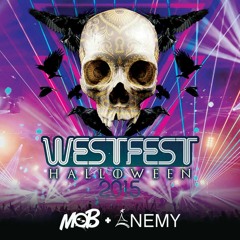 Westfest 2015 Dj MOB & Mc Enemy