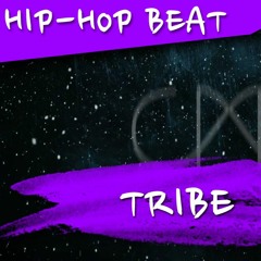 ►Tribe◄ A Tribe Called Quest Type Oldschool 90s Hip-Hop Instrumental [2016] ■prod. by 22■