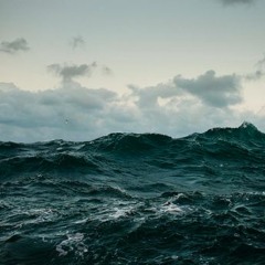 Don't Forget Me - Red Hot Chili Peppers (cover)