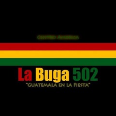 MI REGGAE