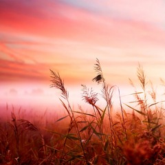 Background Music Instrumental | Most Emotional Music Ever | Epic music