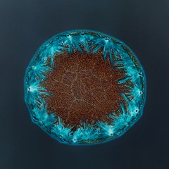 Sonder [Free Download]