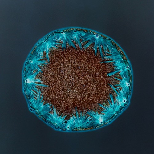 Sonder [Free Download]