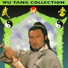 PANTHER KUNG FU - BLACK TIGER