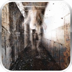 Trance and Phsychoactive PlayList