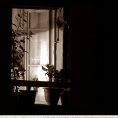 Out In The Cold (clip)