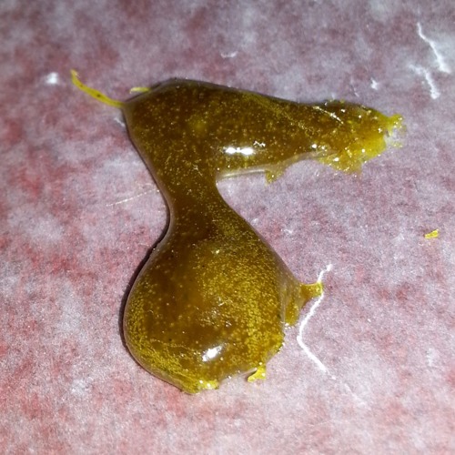 ていない私のために (Not for Me)