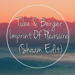 Tube & Berger - Imprint Of Pleasure (Shaam Edit)