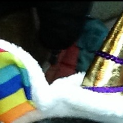 Saatchi & Loox - Odonien, Köln 15.01.16 (Intergalactic Dysfunction)