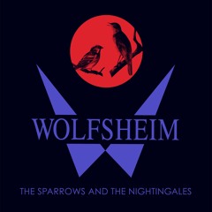 Wolfsheim - The Sparrows And The Nightingales (Ancient Methods 'Ode To The Night' Remix)