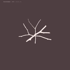 Tyler Friedman YYY Original Mix [snippet]