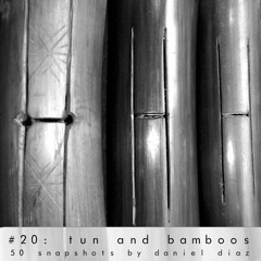 Snapshot 20 Tun And Bamboos