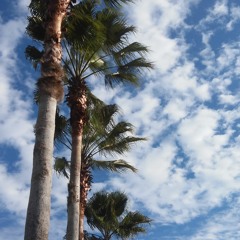 Color Theory 01-15-2016 [LIVE] from Orlando, FL. @ jungletrain