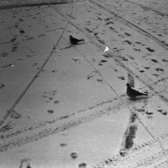 footprints