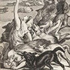 Sewn Into Skins then Fed to  the Dogs