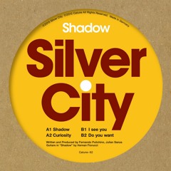 Silver City - Shadow (snip_128kbps)