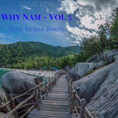 Why Nam Vol 5 - Back To The Beach