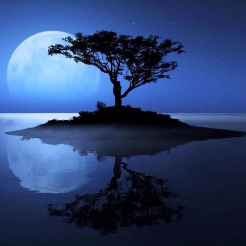 Breathe in, breathe out & be at peace [Chill]