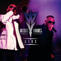 Wisin & Yandel Ft. Jayko Y Gadiel - Tomando El Control (Dj Safry European Remix)