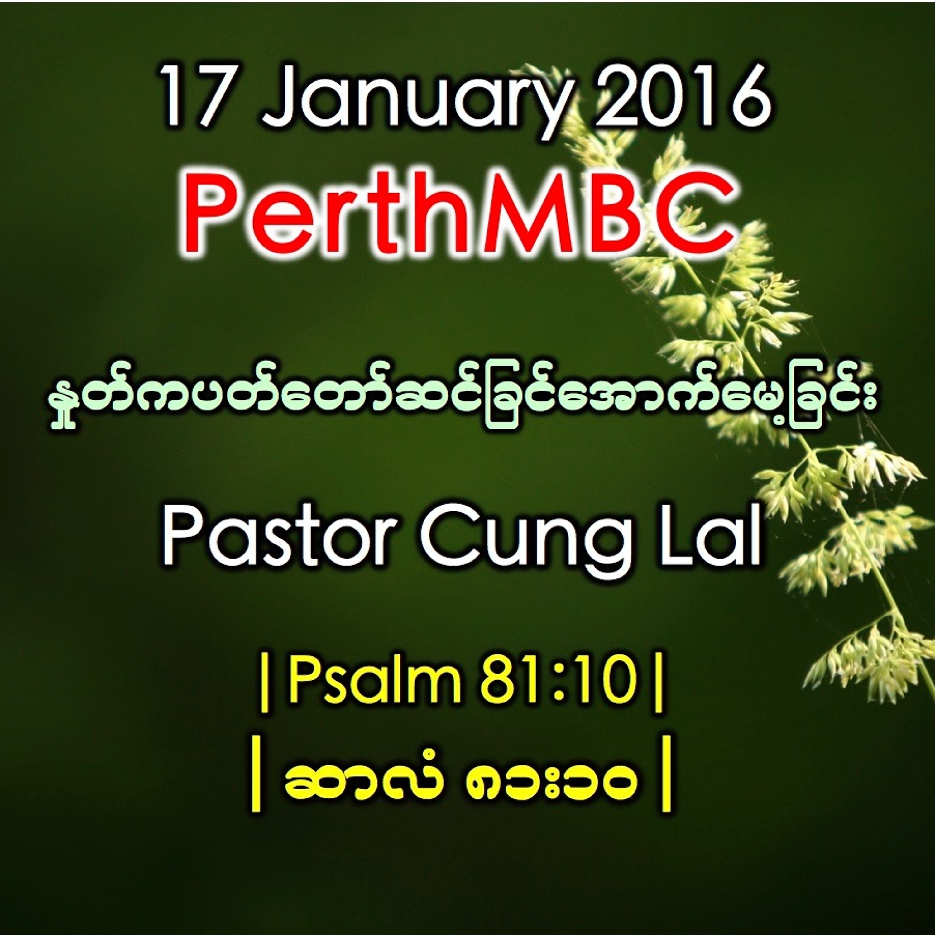 Psalm 81:10 (ဆာလံ ၈၁း၁၀) episode artwork