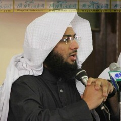 أخلاقُ محمد (ﷺ) .. الشيخ محمد الصاوي