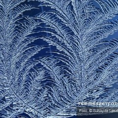 Jégvirágtol Borvirágig After Set Part 1.2016.january