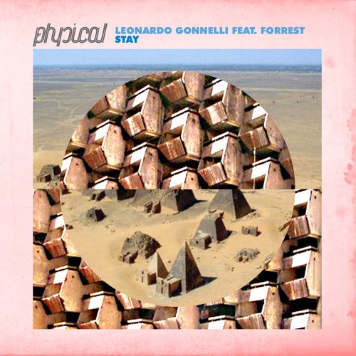 Leonardo Gonnelli feat. Forrest - Stay(Dub) (Snippet)