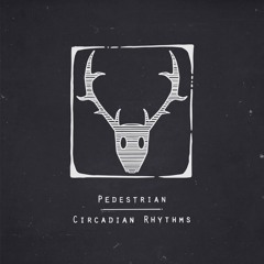 Pedestrian "JNT (feat. Maribou State)" - Boiler Room Debuts