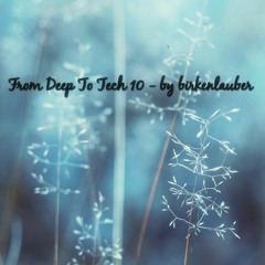 From Deep To Tech Vol. 10 - By Birkenlauber