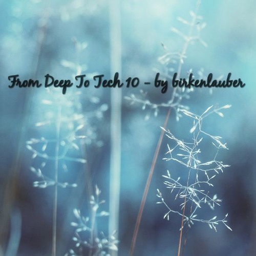 From Deep To Tech Vol. 10 - By Birkenlauber