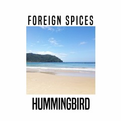 Hummingbird [Early Version]