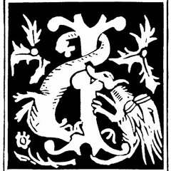 Physikx - I Spit Bars feat. Steeve Mak, Contest - T