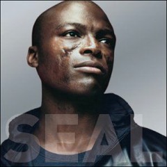 Seal - Crazy (MDBR Remix)