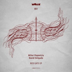 Mihai Popoviciu, David Delgado - Red Gate (Original Mix)