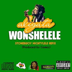 Aligata - Wonshelele(Mightylele Refix)